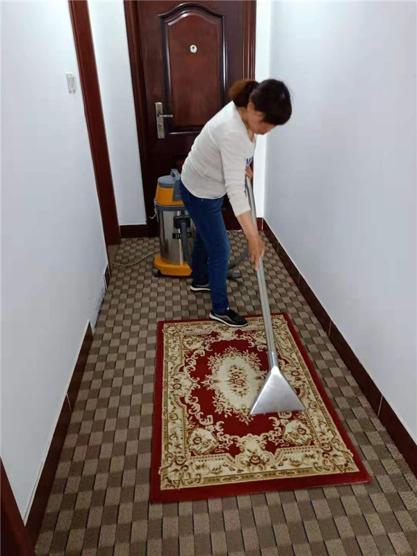 地毯及壁紙清理